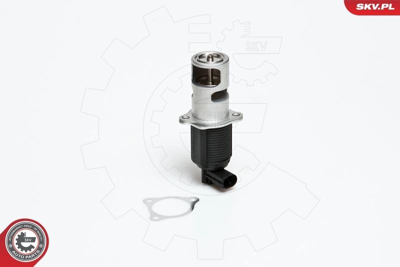 EGR Valve